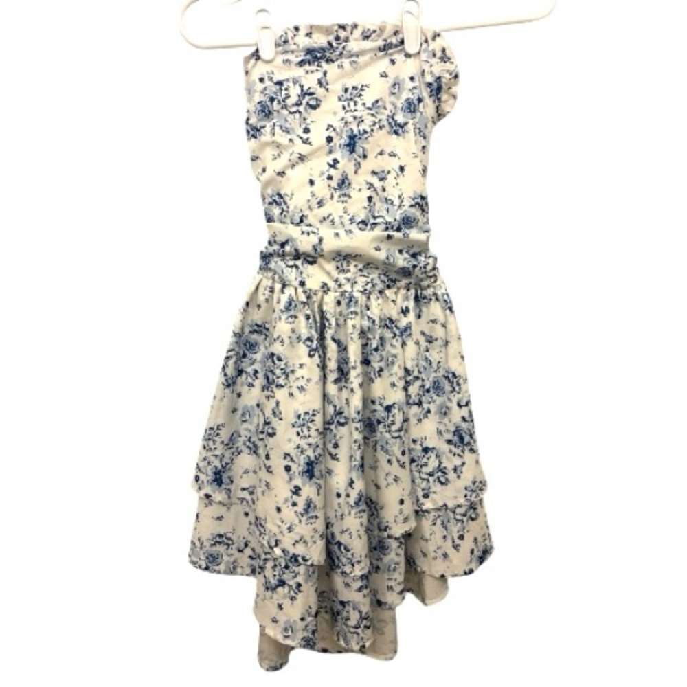 Floral Blue and White Dress
